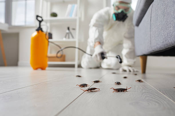 Post-Treatment Bed Bug Interceptor Monitoring in Aetna Estates